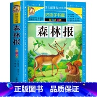 森林报 [正版]森林报 一二三四五六年级暑假寒假阅读课外书阅读书目 小学生版彩图版 适合6-12岁小学阅读经典文学故事