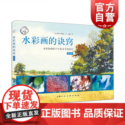 水彩画的诀窍 水彩奶奶的75个私享手绘技巧 西方经典美术技法译丛诀窍 风景人物教程 综合材料创意应用 上海人民美术出版社