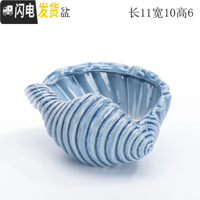 三维工匠多肉花盆器创意个性中大号口径肉肉植物小号拇指花盆陶瓷 蓝色贝壳盆 中等花盆容器