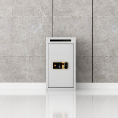 臻远 ZY-DXG-06 文件待销柜密纸回收箱 指纹锁 500*550*750