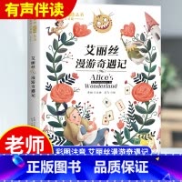 艾丽丝漫游奇遇记[彩图注音版] [正版]爱丽丝漫游奇境记原著注音版 艾丽丝漫游奇遇记彩图老师小学生二三四五年级必读课外