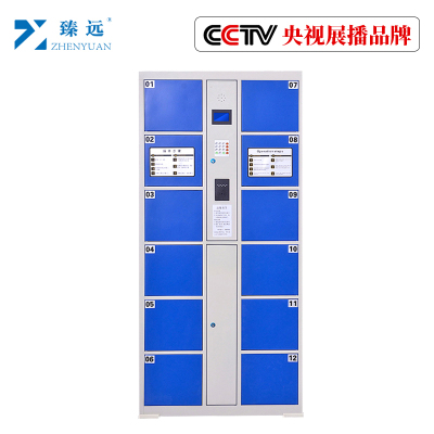 臻远工厂车间电子存包柜智能储物柜寄存柜刷卡条码自编投币型储物柜 12门刷卡款