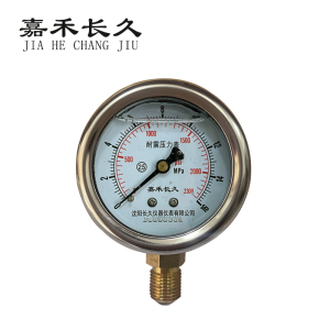 嘉禾长久 耐震压力表检测型 YTN40 块