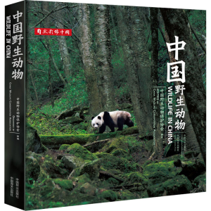 正版新书]中国野生动物中国野生动物保护协会9787521914580