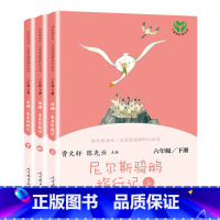 尼尔斯骑鹅旅行记 六年级下 [正版]快乐读书吧六年级下册鲁滨逊漂流记原著爱丽丝漫游奇境尼尔斯骑鹅旅行记人民教育出版社孙课