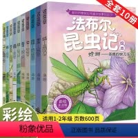 [1-2年级注音版]法布尔昆虫记10册 [正版]法布尔昆虫记注音版全套10册三年级必读的课外书少儿版原著完整版DF 一二