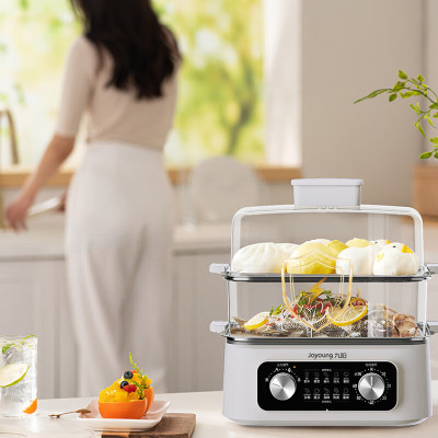 九阳(Joyoung)电蒸锅多功能家用电热锅电火锅多档火力调节 16L DZ150HG-GZ616