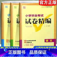 [语文/数学/英语]试卷精编 小学升初中 [正版]2023版小学毕业考试试卷精编语文数学英语小升初系统总复习专项训练真题