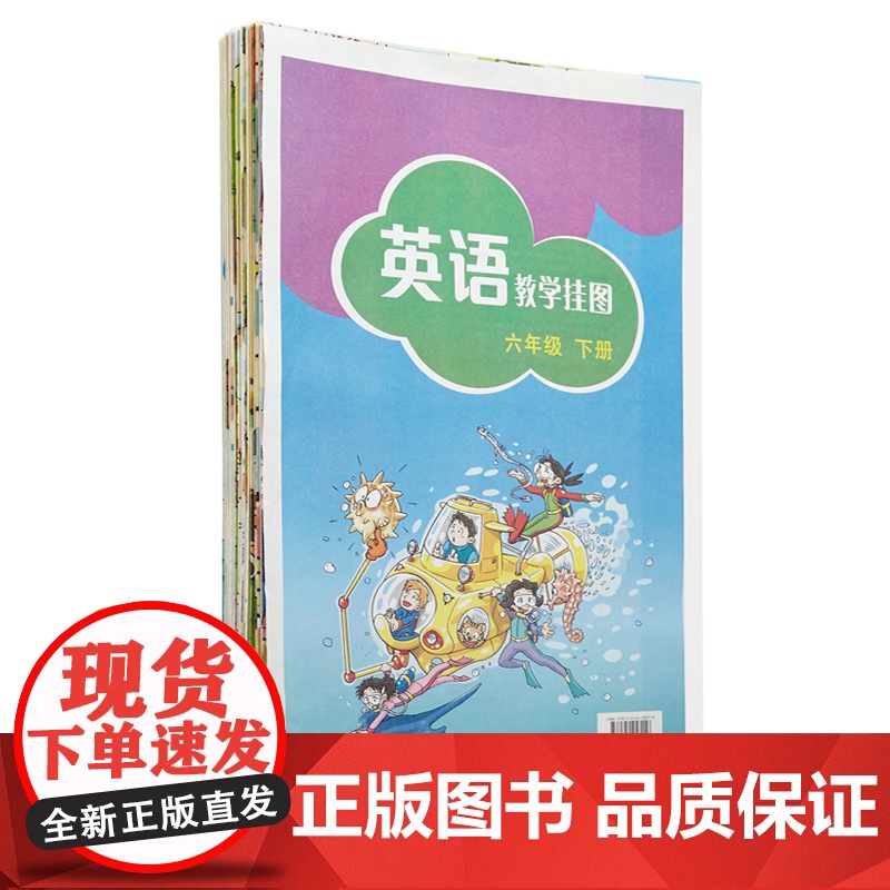 英语教学挂图六年级下册 正版书籍 上海教育 世纪外教 世纪出版