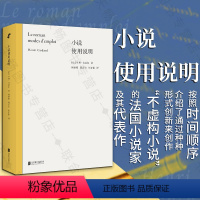 [正版] 小说使用说明 介绍创作“不虚构小说”的法国小说家及其代表作 法国小说的反传统路径及特点 文学理论文学史文学批