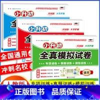 全真模拟试卷 语+数+英 [3本] 小学升初中 [正版]2023年小升初分班全真模拟试测试卷初一入学必刷题人教版语文数学