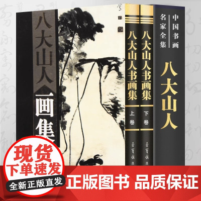 八大山人画集中国现代名家画集 16开函套铜版纸彩印精装2册 中国十大名画家朱耷画集书画精品集花鸟山水画谱书籍