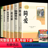 [人教版❤️❤️全套6册]九下必读✚选读 [正版]儒林外史九年级必读课外书原著人民教育出版社下册阅读无删减初中生青少年初