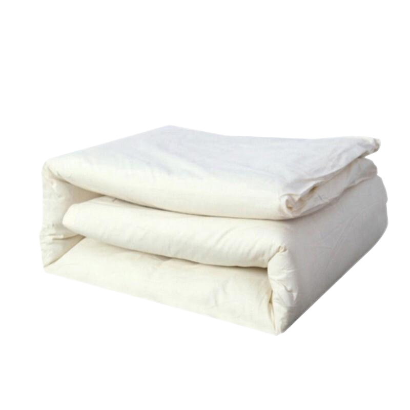 洛菲源白棉褥 白色褥子 褥垫 全棉包布内芯含网 规格120*200/5斤