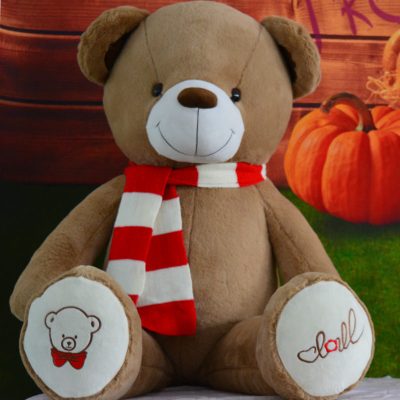 毛绒玩具布娃娃公仔女生闺蜜抱抱熊泰迪熊猫玩偶大号女孩生米棕围巾熊(带拉链可拆洗)全长1.4米直角量1.7米送小熊+花