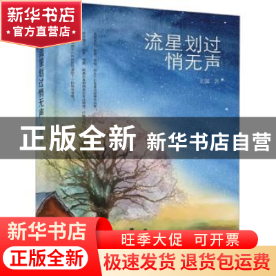 正版 流星划过悄无声 文馨著 中国言实出版社 9787517141150 书籍