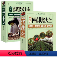 [正版]全2册新农村养殖技术大全+新农村种植栽培大全 养猪羊牛鸡兔书籍 母猪养殖技术大全 家畜病诊断一本通 畜牧养殖效