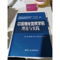 正版新书]中国煤炭地质学的理论与实践徐水师 编著978750203698