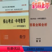 2024版核心考点中考数学 初中通用 [正版]2024新版核心考点中考数学武汉九年级下册冲刺真题训练名校学典期中期末初三