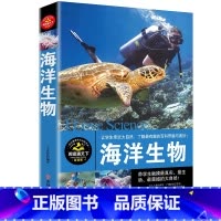 [正版] 海洋生物(彩图版) 16开彩色印刷插图本书籍 青少年自然科普读物 让学生亲近大自然 了解有趣的百科奇趣与