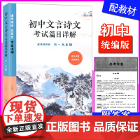 初中文言诗文考试篇目详解 六至九年级 配套语文教材 古诗词文言文阅读训练 部编人教版初中语文教辅 正版 华东师范大学出版