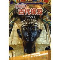 正版新书]艺术为证之古代埃及(英)安德鲁·朗利|译者:简悦9787530