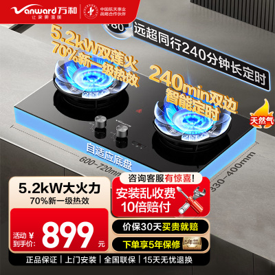万和[蓝莲花B9DS]5.2kW天然气猛火70%热效率双边定时嵌入式家用煤气双炉具双灶台灶具燃气灶全新一代猛火灶天然气
