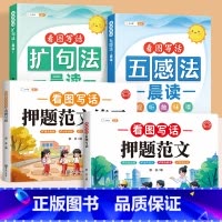[全4本]押题范文+练习+五感法+扩句法 小学通用 [正版]2025新版看图写话二年级专项训练小学语文人教版范文大全一年