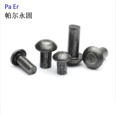 帕尔永固半圆头铆钉20×65mm 个