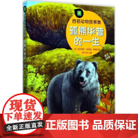 西顿动物故事集•孤熊华普的一生(拼音美绘版)(加)欧内斯特·汤普森·西顿(Ernest Thompson Seton)