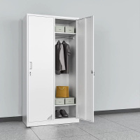 2门更衣柜宿舍带锁职工换衣柜办公室储物文件柜档案资料铁皮柜子 500mm*1000mm*1800mm 个