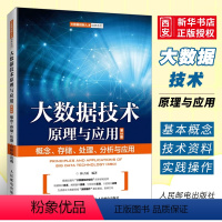 [正版]大数据技术原理与应用 人民邮电出版社 概念存储处理分析与应用 第3版 林子雨 大数据创新人才培养系列技术入门实