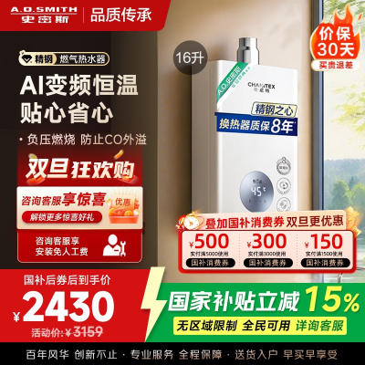 AO史密斯佳尼特16升燃气热水器佳尼特 不锈钢换热器8年包换 恒温大水量 抗风防冻 JSQ31-TC1