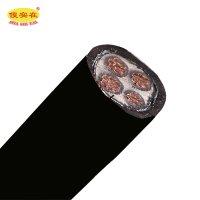 傻实在 电缆 国标全项保检 ZC-YJV22 3*25mm²+1*16mm² 米