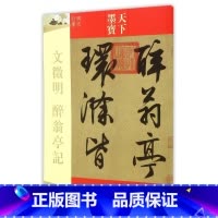 [正版]文徵明醉翁亭记(明代行书)/天下墨宝 书籍 木垛图书