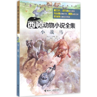 音像小战马