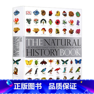 DK系列 博物大百科 [正版]Kurzgesagt科普 免疫 英文原版 精装Immune A Journey into