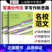 文言+文史典故精粹 八年级下 [正版]名师学堂新版初中生语文同步作文写作阅读八年级上下册古诗文阶梯助学每日一文语文阅读理