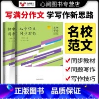 文言+文史典故精粹 八年级下 [正版]名师学堂新版初中生语文同步作文写作阅读八年级上下册古诗文阶梯助学每日一文语文阅读理