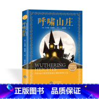 呼啸山庄 [正版]世界经典儿童文学 14册 基础教育阅读工程 木偶奇遇记 西顿动物故事集 彼得兔的故事 宝葫芦的秘密