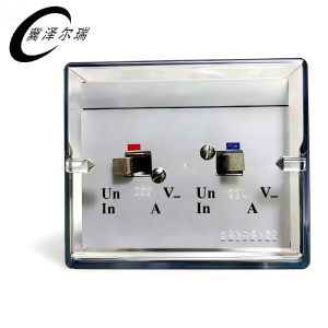 冀泽尔瑞 继电组件 JZER - DLS-42/5-5 个