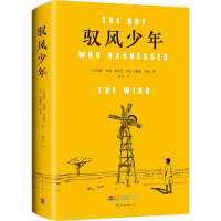 醉染图书驭风少年9787544280044