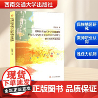 贵州民族地区中学体育教师职业认同与职业幸福感的关系研究——胜任力的作用机制 陈祖学 著 育儿其他文教 正版图书籍