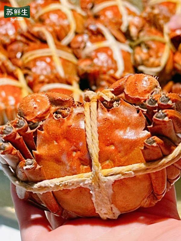 [鲜活大闸蟹]苏鲜生 苏宁甄选大闸蟹 公5两 母4两 8只