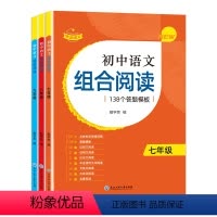 [七八九年级]语文组合阅读 初中通用 [正版]赞读 初中语文组合阅读理解138个答题模板七八九年级 初中一二三年级中考阅