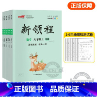 数学[XSD西师大版] 五年级上 [正版]2023秋季新版新领程小学一年级二年级三年级四年级五年级六年级123456上册