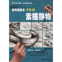 正版新书]结构训练法李胜利素描静物李胜利9787535644022