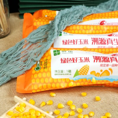 酥田东北黄糯9号玉米新鲜糯玉米10棒现摘真空甜黏粘玉米10棒早餐