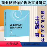 [正版]2023新书 商业秘密保护诉讼实务研究 王现辉 商业秘密法律保护研究 秘密性 价值性 保密性 知识产权出版社9