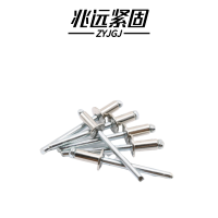 兆远紧固 抽芯铆钉拉铆钉(个)(6*16)
